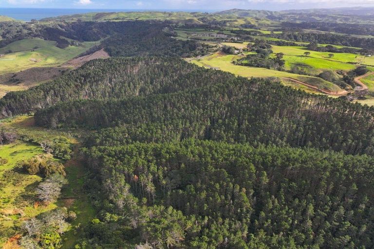 Photo of property in 2 Awhitu Road, Waiuku, 2683