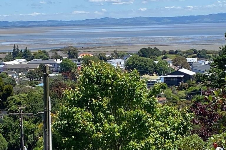 Photo of property in 905 Sealey Street, Thames, 3500