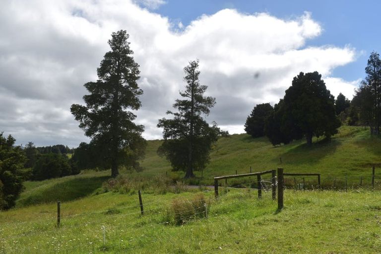 Photo of property in 63 Donaldson Road, Okaihau, 0475