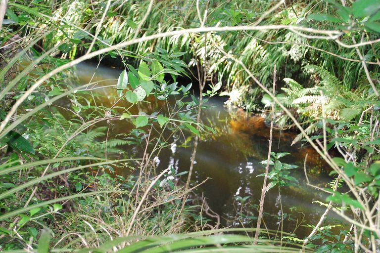 Photo of property in 9 Dolly Lane, Kaiwaka, 0573