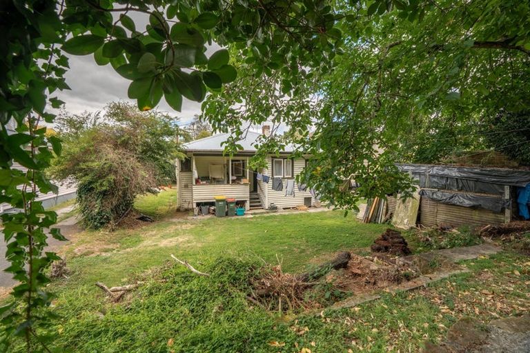 Photo of property in 18 Opoia Road, Hamilton East, Hamilton, 3216