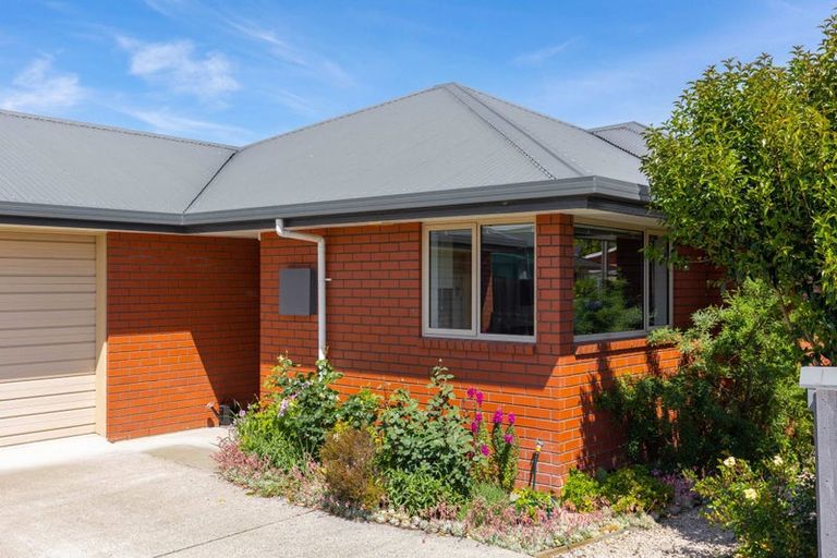 Photo of property in 113 Charles Street, Blenheim, 7201