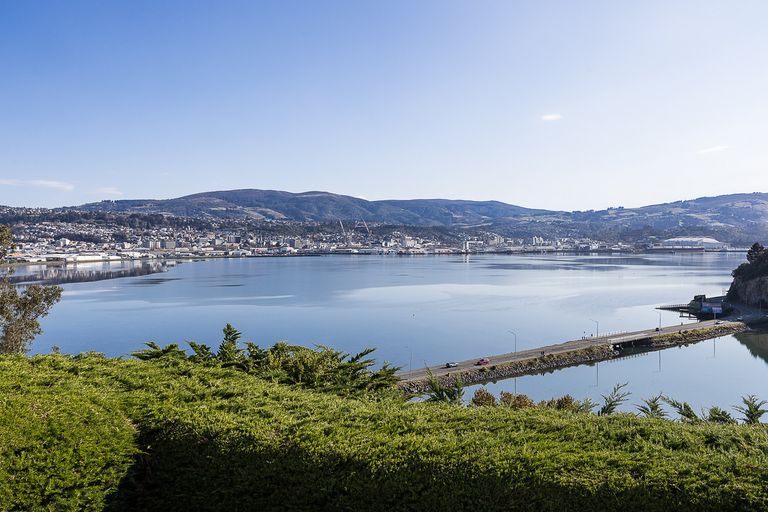 Photo of property in 91 Moana Crescent, Musselburgh, Dunedin, 9013