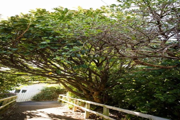 Photo of property in 69 Lavaud Street, Berhampore, Wellington, 6023