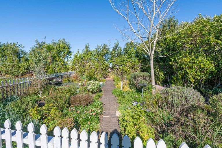 Photo of property in 51 Shelly Beach Road, Shelly Beach, Helensville, 0874