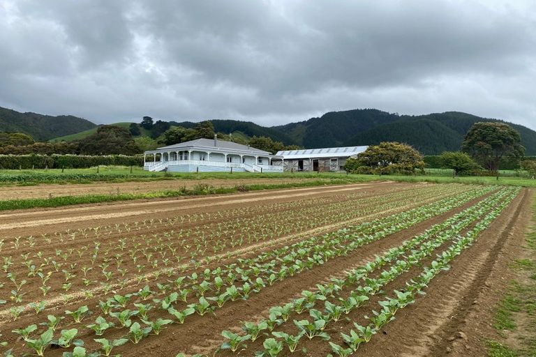Photo of property in 164 Settlement Road, Te Horo, Otaki, 5582