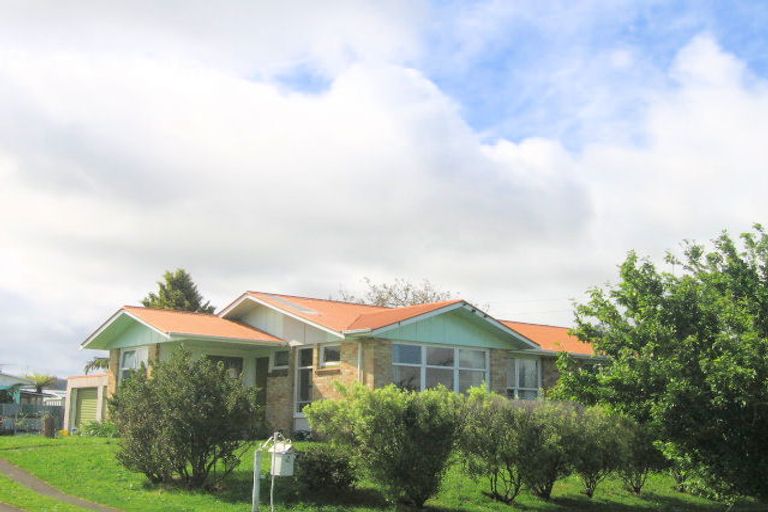 Photo of property in 9 Roycroft Street, Waihi, 3610