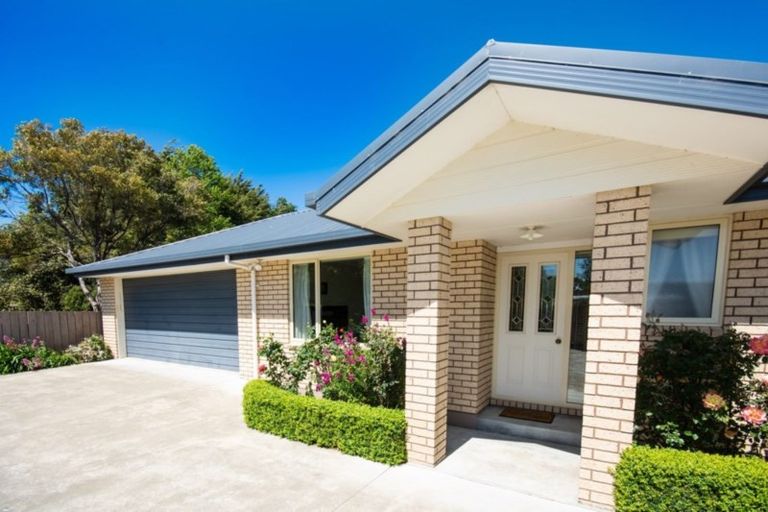 Photo of property in 164b Budge Street, Riversdale, Blenheim, 7201