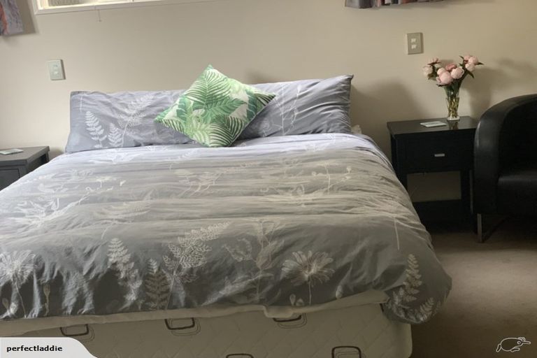 Photo of property in 22 Kilmarnock Street, Riccarton, Christchurch, 8011