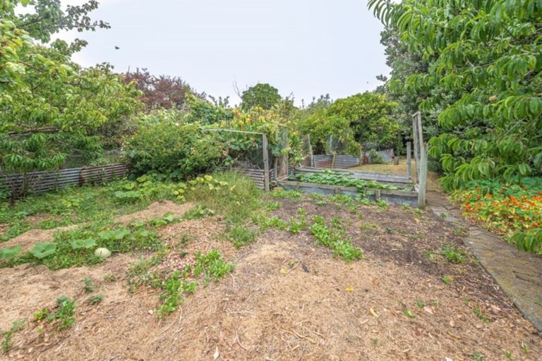 Photo of property in 11 Nikau Street, Tawhero, Whanganui, 4501