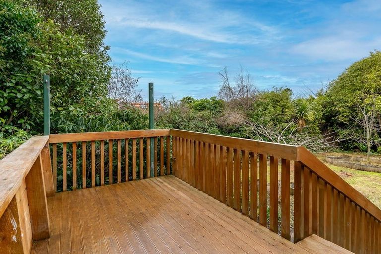 Photo of property in 45 Leven Street, Roslyn, Dunedin, 9010
