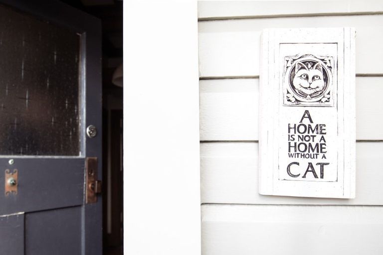 Photo of property in 1 Campaign Street, Napier South, Napier, 4110