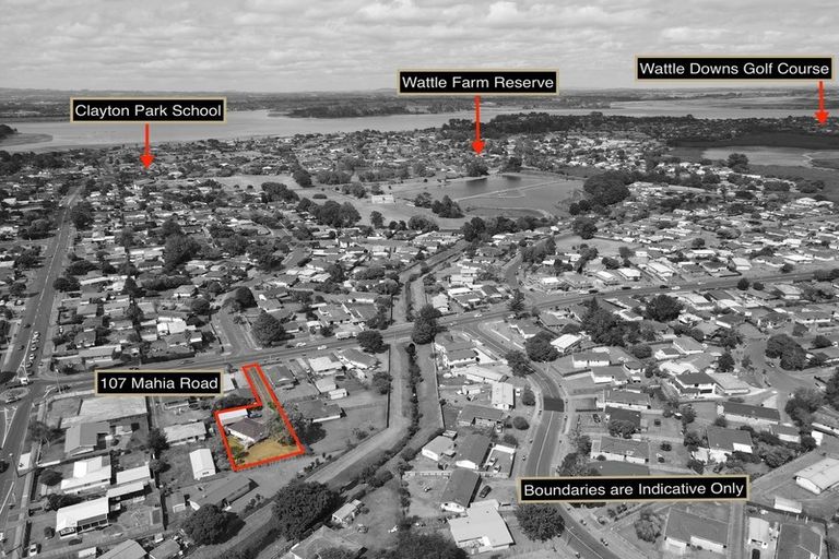 Photo of property in 107 Mahia Road, Wattle Downs, Auckland, 2103