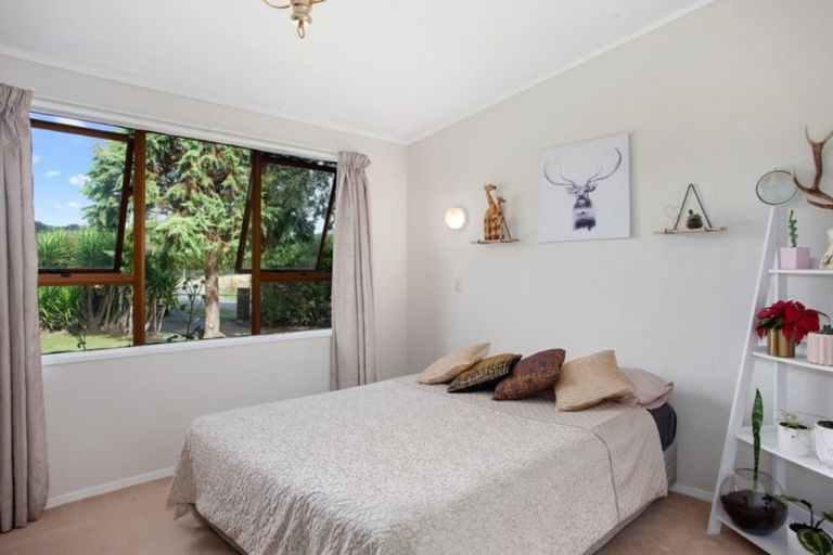 Photo of property in 821a White Pine Bush Road, White Pine Bush, Whakatane, 3191