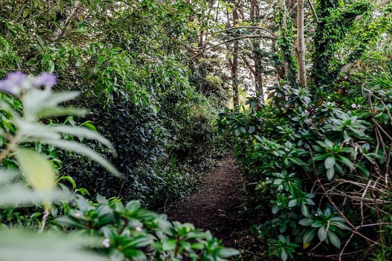 Photo of property in 49 Gordon Place, Levin, 5510