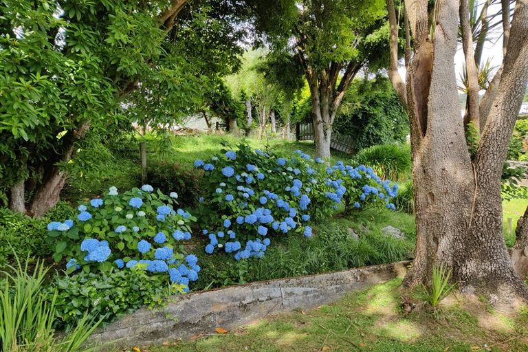 Photo of property in 90 Fairfax Street, Murchison, 7007