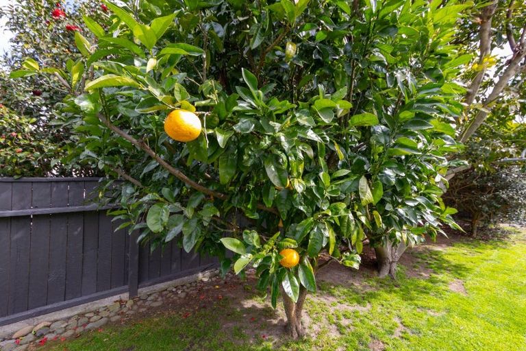 Photo of property in 50 South Street, Feilding, 4702