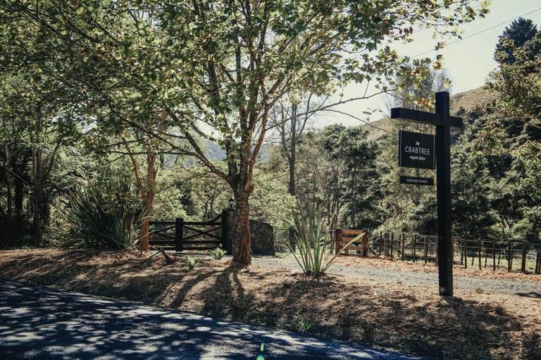 Photo of property in 186 Twilight Road, Clevedon, Papakura, 2582