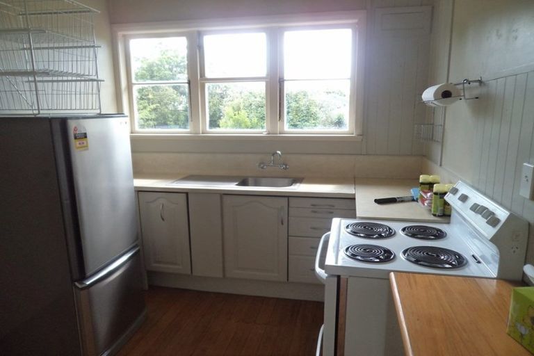 Photo of property in 3 Treloar Street, Fairfield, Hamilton, 3214