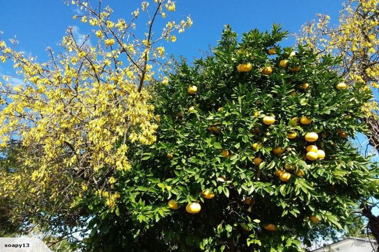 Photo of property in 9 Clay Street, Motueka, 7120