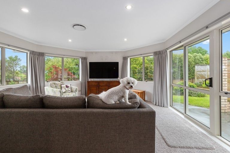 Photo of property in 5 Mountain View Road, Te Aroha, 3320