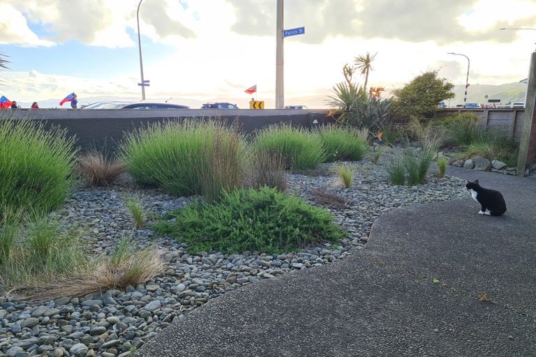 Photo of property in 227 The Esplanade, Petone, Lower Hutt, 5012