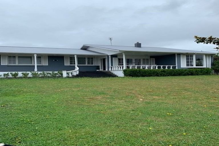 Photo of property in 44 Read Street, Levin, 5510