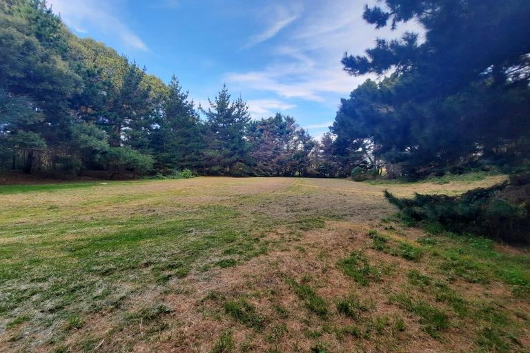 Photo of property in 81 Paetawa Road, Peka Peka, Waikanae, 5391