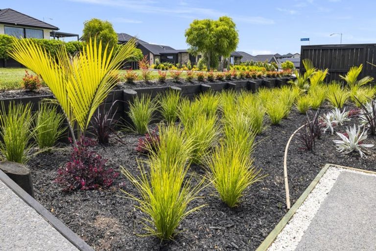 Photo of property in 9 Kahawai Place, Omokoroa, 3114