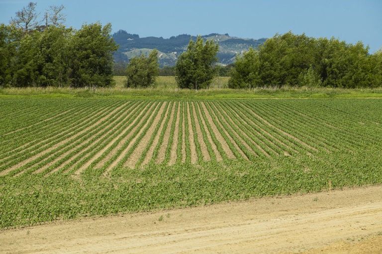 Photo of property in 622 Lavenham Road, Waituhi, Gisborne, 4072