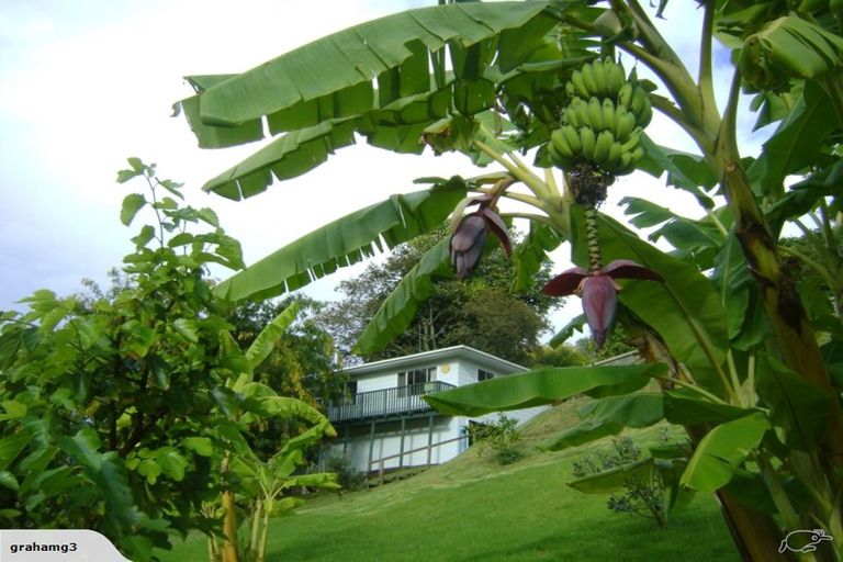 Photo of property in 20 Willow Place, Horahora, Whangarei, 0110