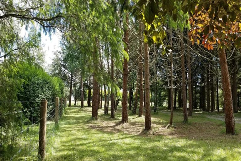 Photo of property in 12 Railway Street, Fairlie, 7925