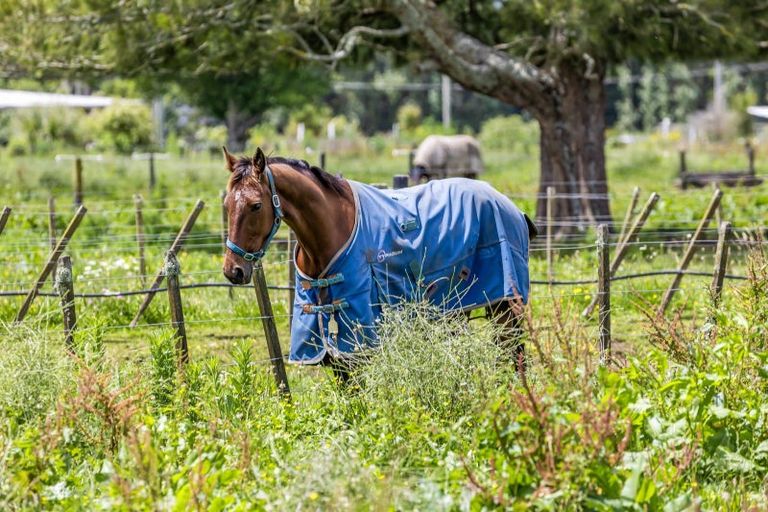Photo of property in 113 Boord Crescent, Kumeu, 0891