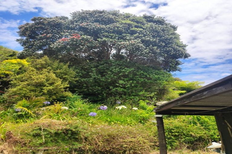 Photo of property in 1166 Kennedy Bay Road, Kennedy Bay, Coromandel, 3583