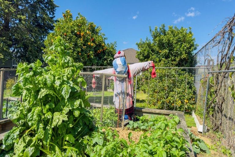 Photo of property in 11 Miro Street, Matamata, 3400