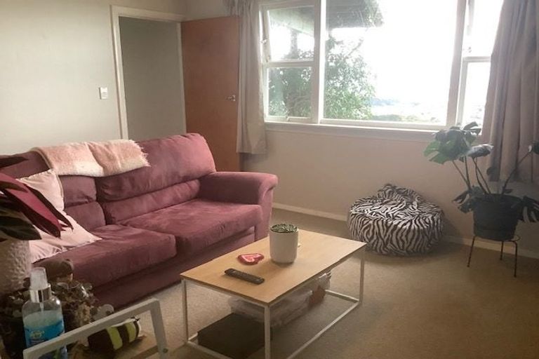 Photo of property in 34 Mana Street, Vogeltown, Wellington, 6021