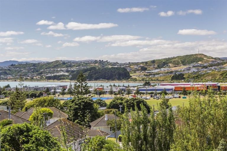 Photo of property in 58 Kotuku Street, Elsdon, Porirua, 5022