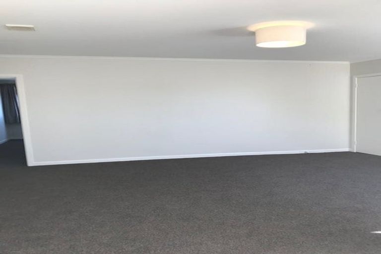 Photo of property in 3 Somerset Avenue, Newtown, Wellington, 6021