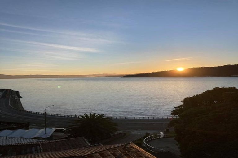 Photo of property in 17a Kio Road, Hataitai, Wellington, 6021