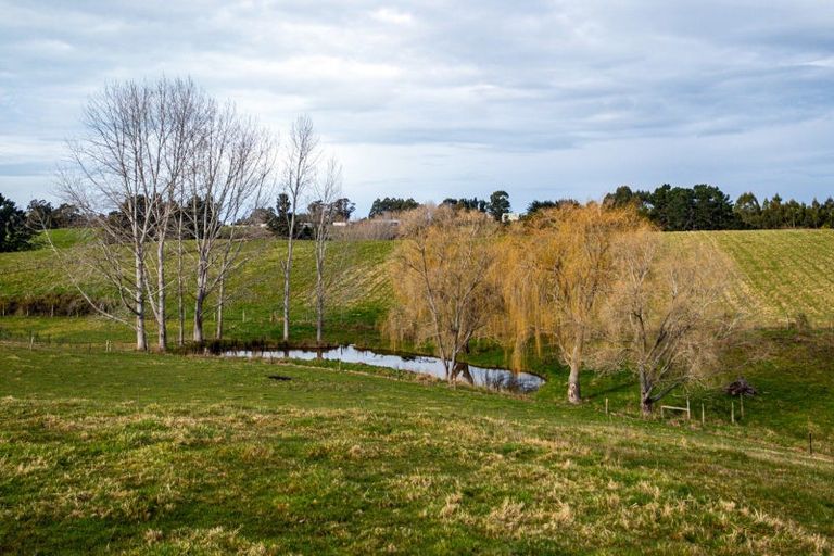 Photo of property in 99 Rosebrook Road, Claremont, Timaru, 7974