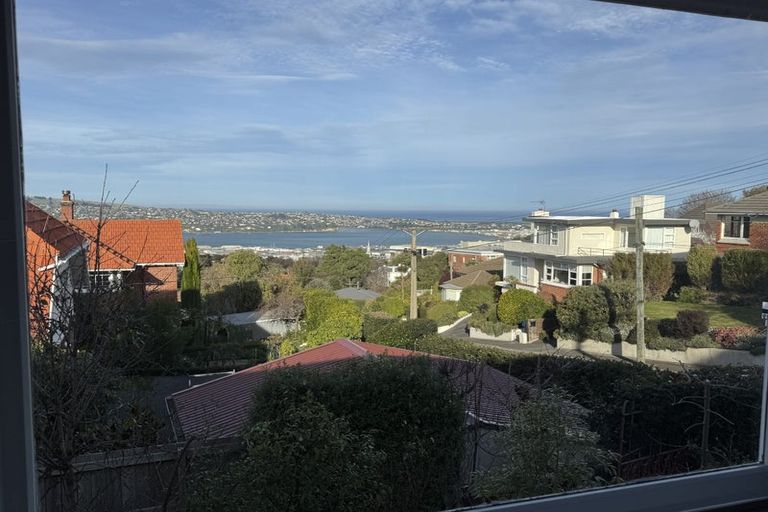 Photo of property in 8a Merlin Street, Roslyn, Dunedin, 9010