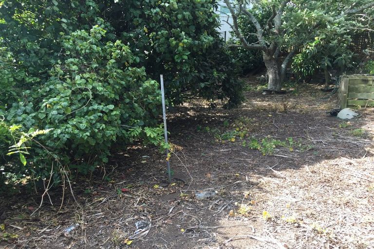 Photo of property in 41a Dorset Avenue, Westown, New Plymouth, 4310