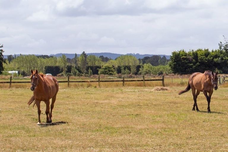 Photo of property in 263 Lehmans Road, Fernside, Rangiora, 7471
