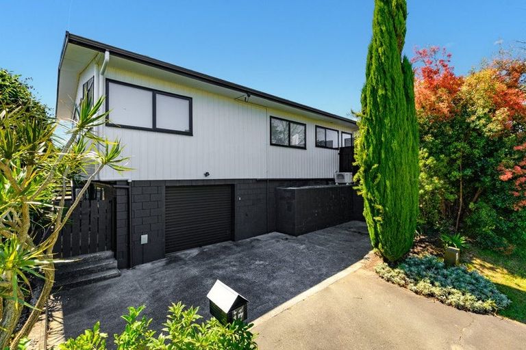 Photo of property in 17 Hairini Street, Hairini, Tauranga, 3112