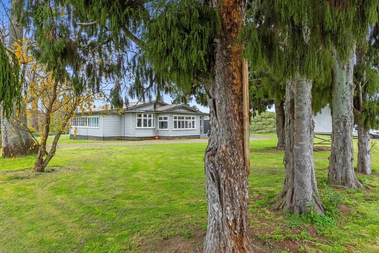 Photo of property in 4 Wallace Road, Temple View, Hamilton, 3289