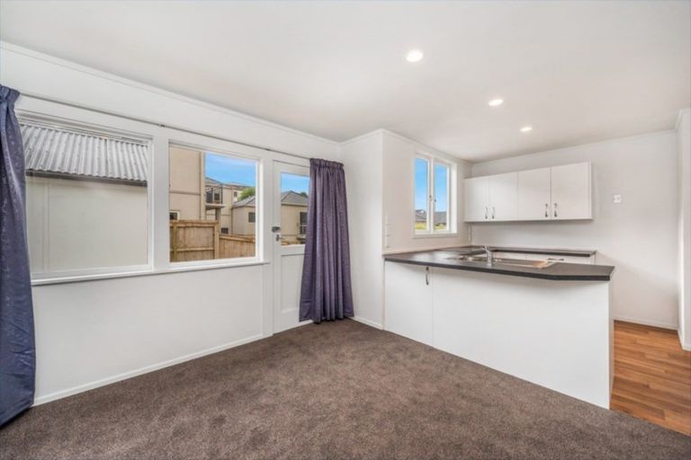 Photo of property in 24a Hunter Street, Hamilton Lake, Hamilton, 3204