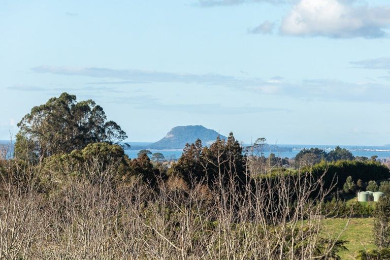 Photo of property in 481 Wainui Road South, Whakamarama, Tauranga, 3180