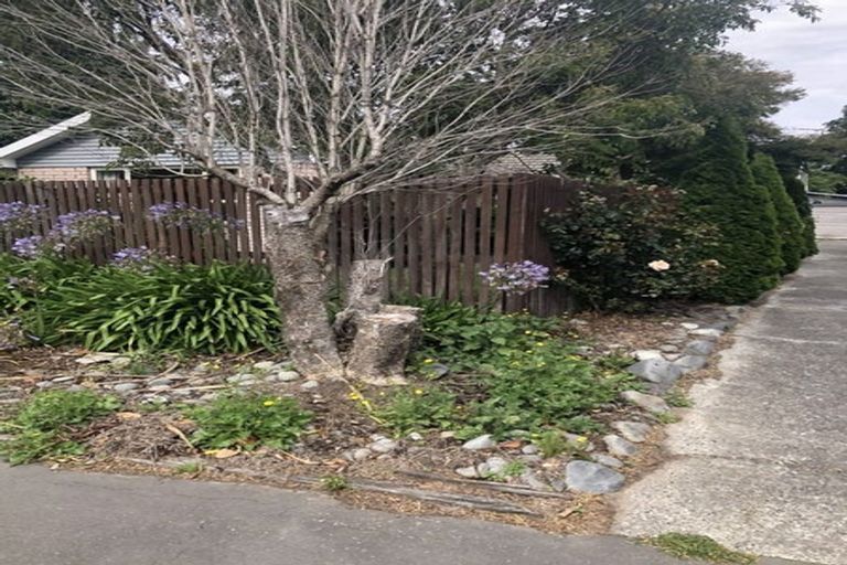 Photo of property in 53 Hounslow Street, Ilam, Christchurch, 8041