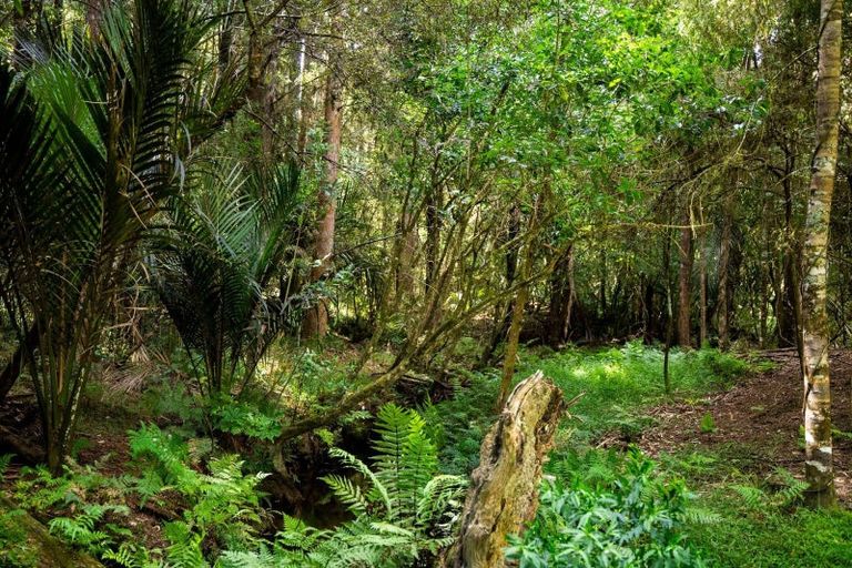 Photo of property in 136 Knight Road, Ruatangata West, Whangarei, 0176