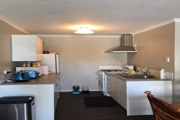 Photo of property in 58 Ascot Road, Chartwell, Hamilton, 3210